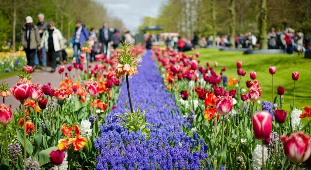 Keukenhof el parque de las flores