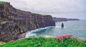 Flores acantilados de Moher
