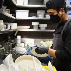 Trabajar de Lavaplatos en Laponia